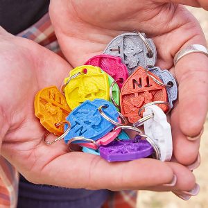 Keychain - 3D (assorted)