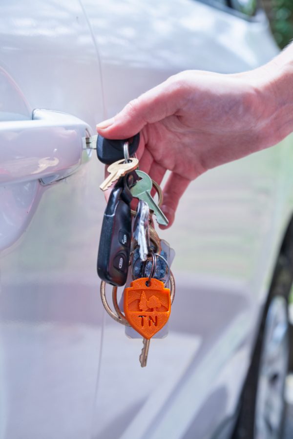 Keychain - 3D (assorted) - Image 2