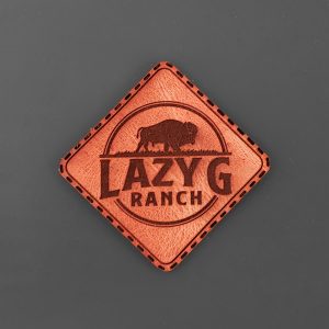 Bison Patch