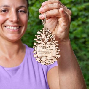 Pinecone Bird Feeder