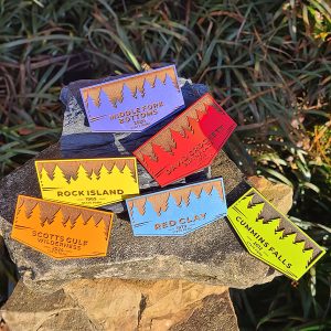 Color Forest Magnets